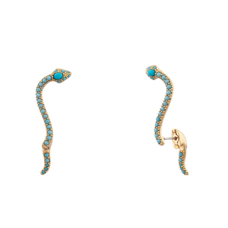 Climbing Snake Ear Creeper