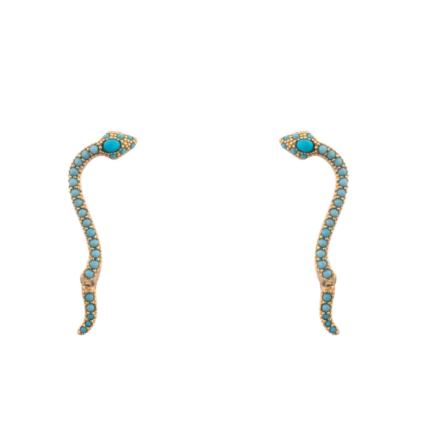 Climbing Snake Ear Creeper