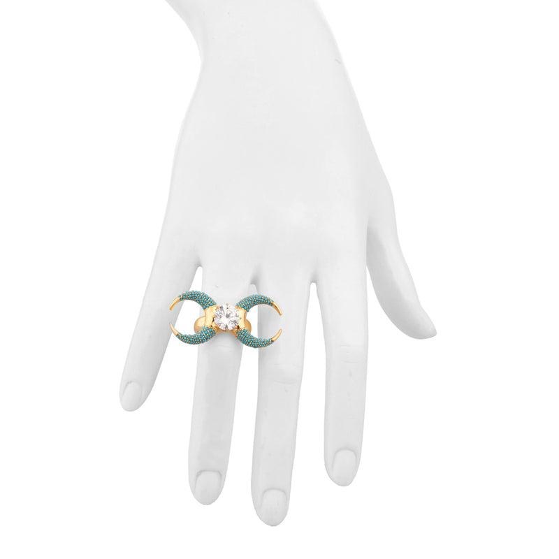 Moon of Two Ring